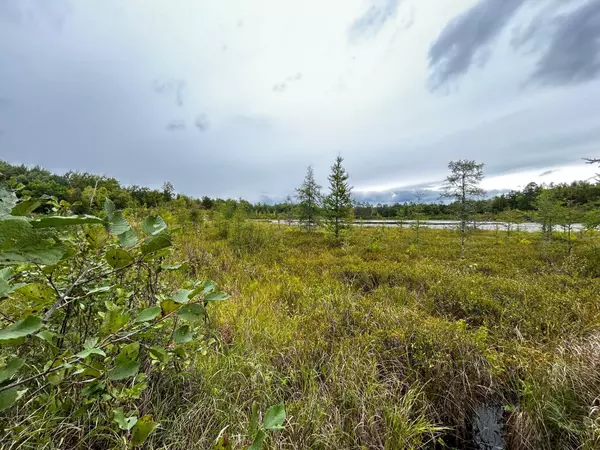 Hackensack, MN 56452,TBD Kestrel TRL NW