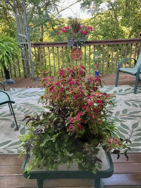 Minnetonka, MN 55345,17828 Townline RD