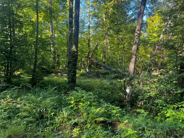 Mcgregor, MN 55760,49760 197th AVE