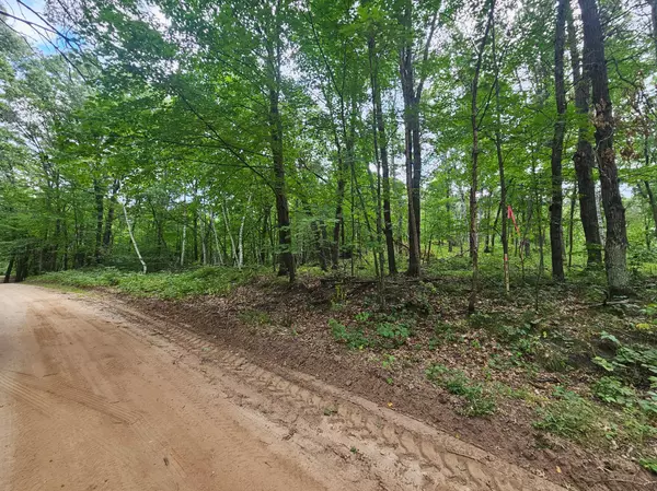 Pillager, MN 56473,Tract B Richfield RD SW