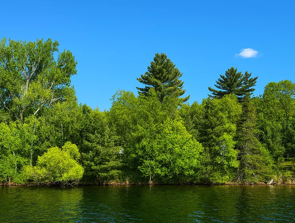 Deerwood, MN 56444,15019 Woodland Beach LN