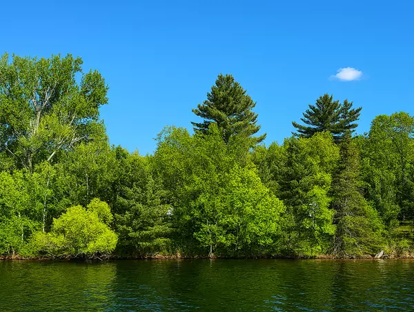 15019 Woodland Beach LN,  Deerwood,  MN 56444