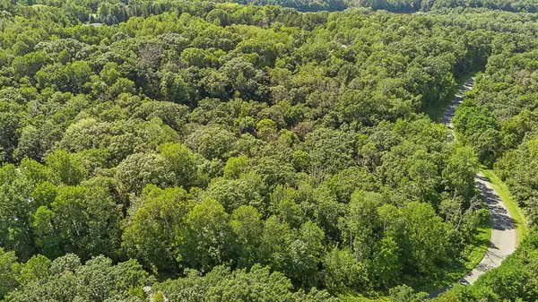 Somerset, WI 54025,TBD DeLong RD