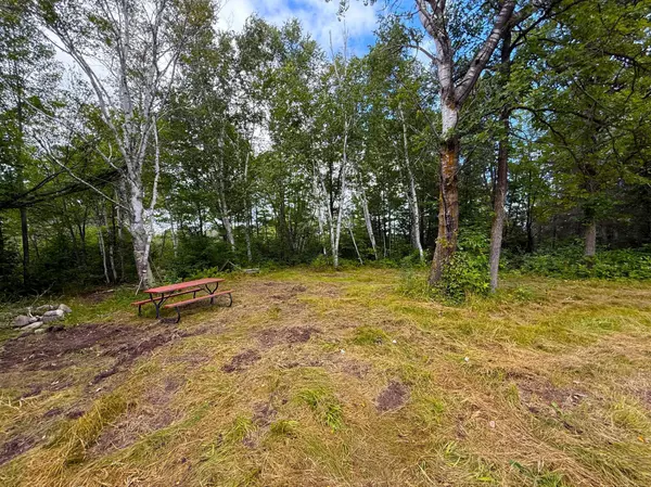 Hill City, MN 55748,XXX 350th AVE