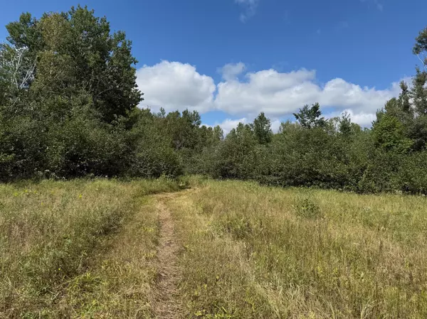 Williams Twp, MN 55735,17093 160th LN