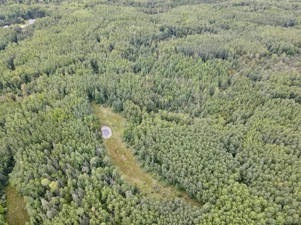 Nashwauk Twp, MN 55769,TBD Hwy 65