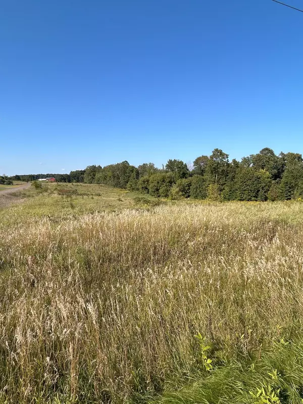 Dresser, WI 54009,000 166th ST