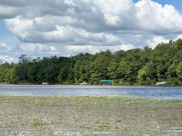 Palisade, MN 56469,27023 Fawn LN