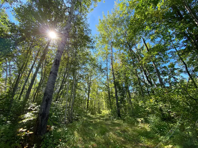 4048 Little RD, Barnum, MN 55707