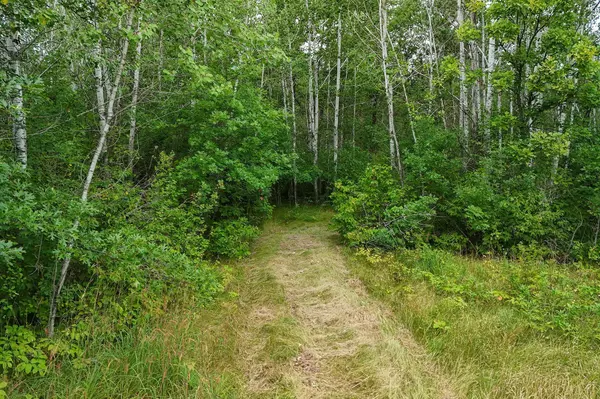 Bemidji, MN 56601,5415 Park Preserve TRL NE