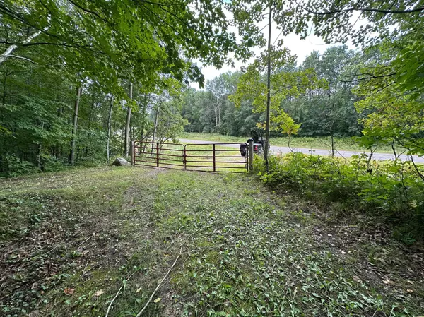 Roosevelt Twp, MN 56450,TBD County Road 8