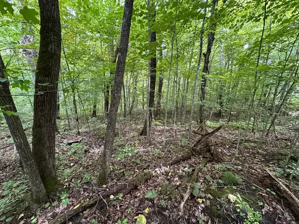 Roosevelt Twp, MN 56450,TBD County Road 8