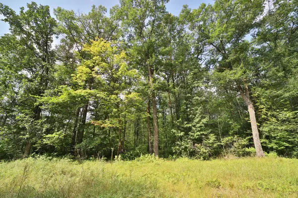 Brainerd, MN 56401,TBD Thesing RD