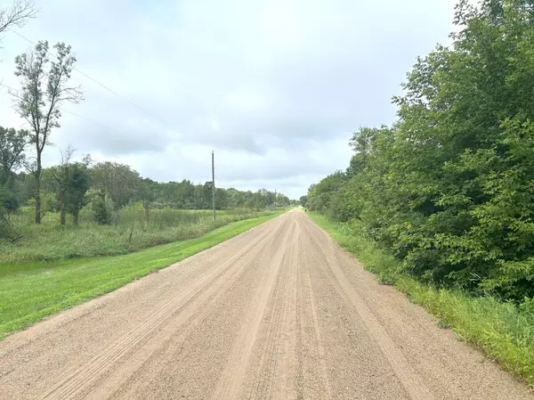 Long Prairie, MN 56347,TBD 190th ST