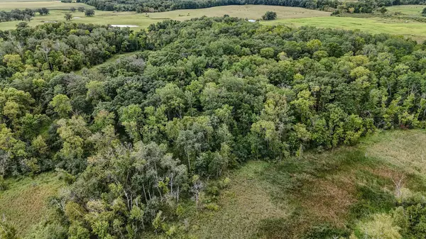 TBD 190th ST, Long Prairie, MN 56347