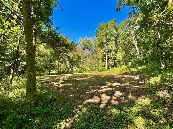 Wilson Twp, MN 55987,TBD East Burns Valley Road