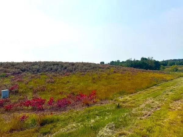 Battle Lake, MN 56515,TBD 205th ST