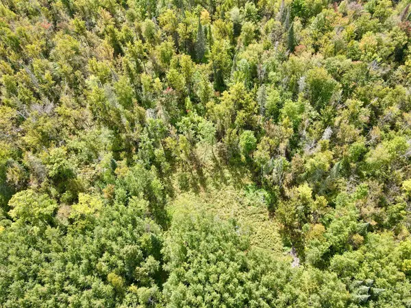 Bigfork Twp, MN 56628,37139 Hanson Rd