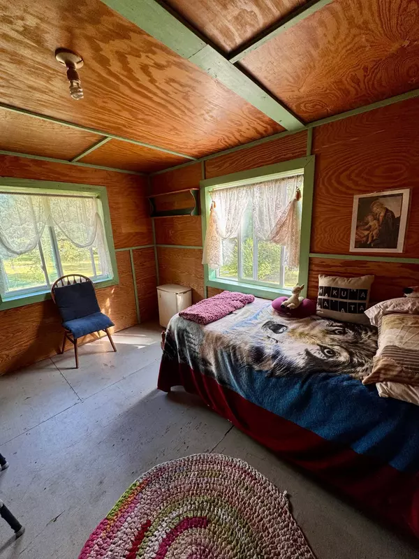 Bullard Twp, MN 56479,25333 196th ST