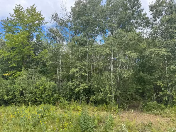 Mora, MN 55051,TBD 230th AVE