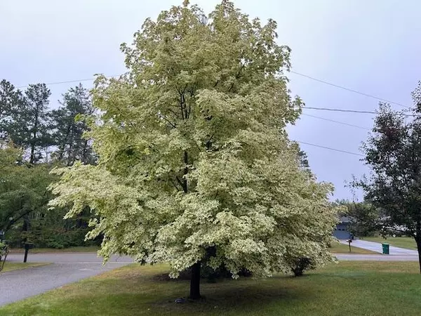 Grand Rapids, MN 55744,97 Donovan DR