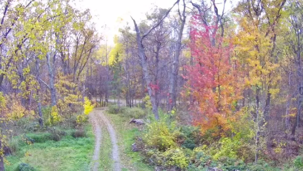 47802 Xylophone RD, Garrison, MN 56450