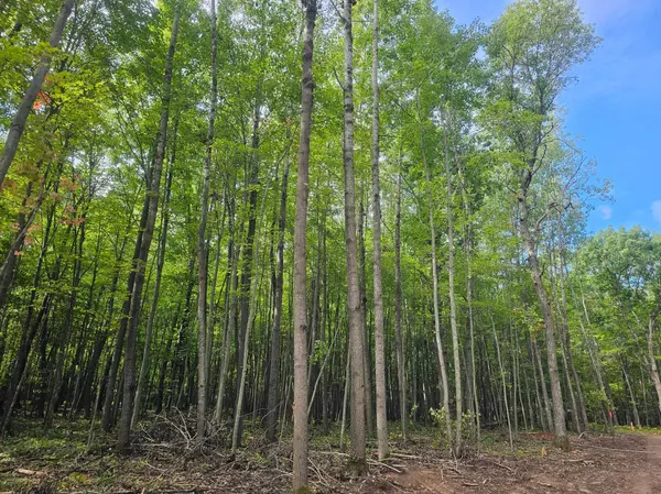 Jackson Twp, WI 54893,Lot 8 Ken Can Lane