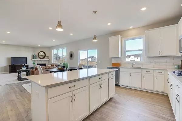 Rosemount, MN 55068,13362 Applewood TRL