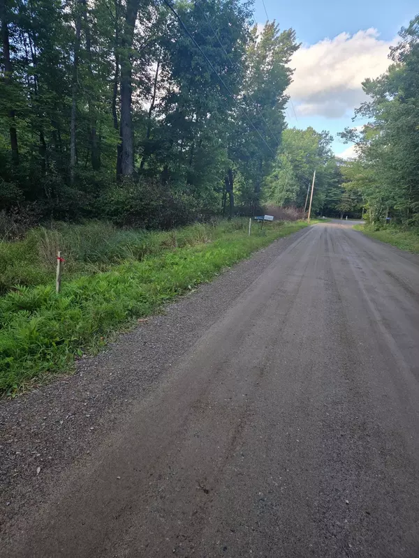 Shamrock Twp, MN 55760,TBD 484th Street