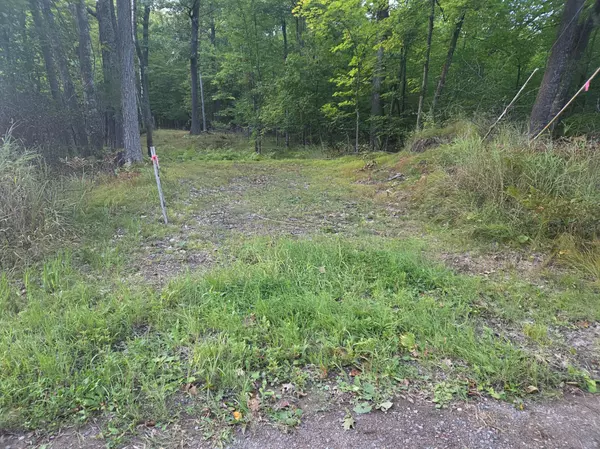 Shamrock Twp, MN 55760,TBD 484th Street