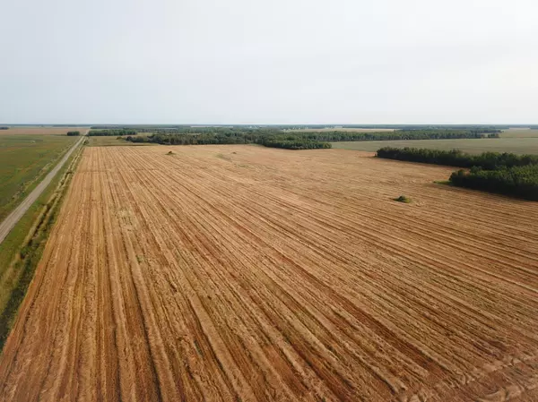 Moylan Twp, MN 56725,TBD 330th AVE NE