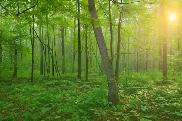 Backus, MN 56435,Track C Hwy 87