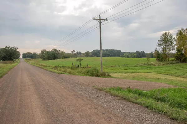 Braham, MN 55006,TBD 405th AVE NW