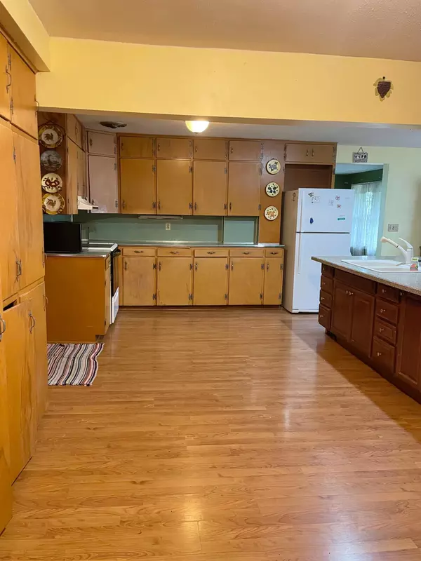 Minnesota Lake Twp, MN 56097,20157 540th AVE