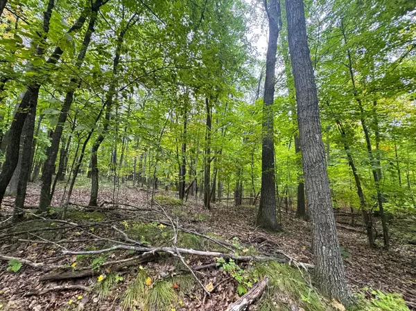 Aitkin, MN 56431,34xxx 20ac 298th ST