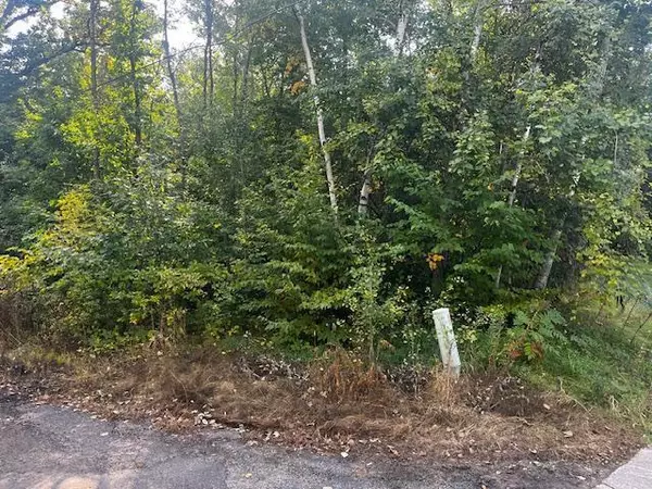 Buffalo, MN 55313,xxx Ibis DR