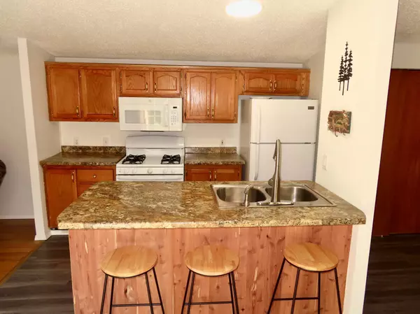Deer River, MN 56636,32601 State Highway 46