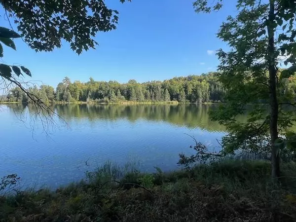 Outing, MN 56662,5465 Woods Bay DR NE