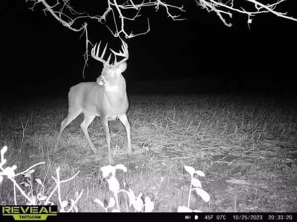 North Branch, MN 55056,TBD 395th ST