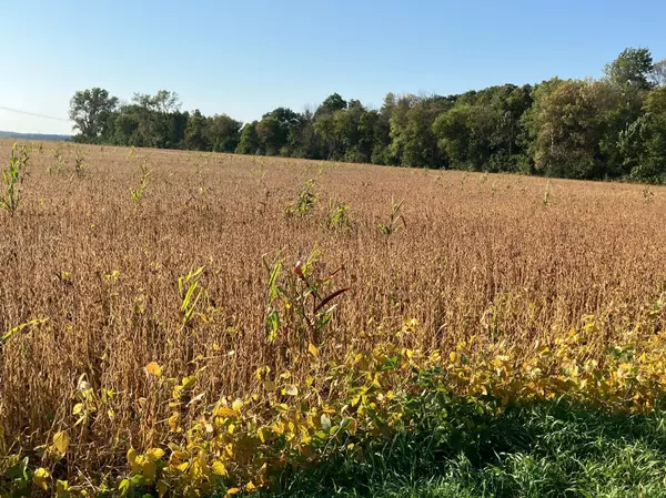 North Branch, MN 55056,TBD Keystone AVE