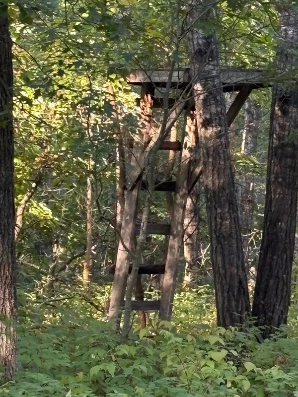 Nevis, MN 56467,TBD Elm TRL