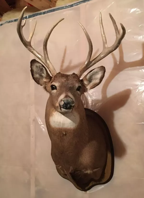 Ann Lake Twp, MN 55051,TBD-200AC 250th AVE