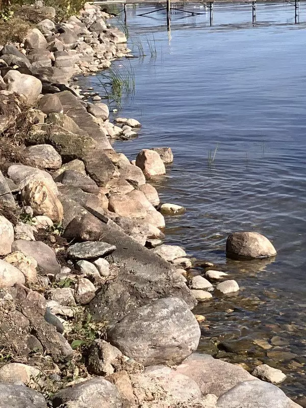 Glenwood, MN 56334,238XX N Lake Shore DR