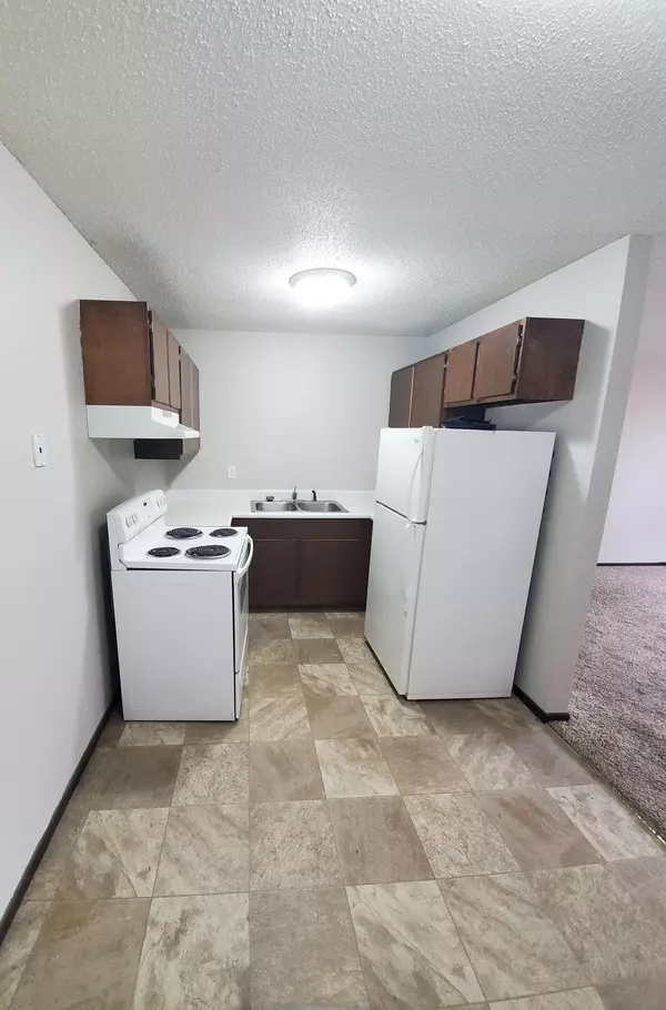 Bird Island, MN 55310,725 S 9th ST ##3