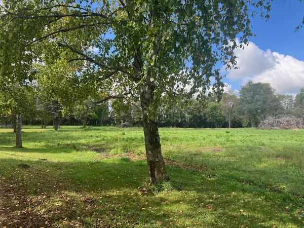 Willmar, MN 56201,TBD 30TH AVE SW