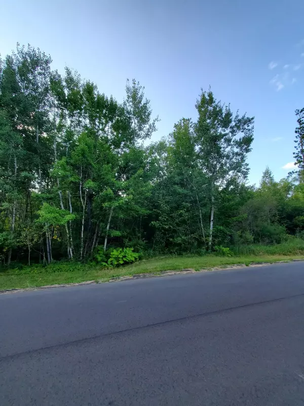 Crow Wing Twp, MN 56401,TBD Redfern Trl