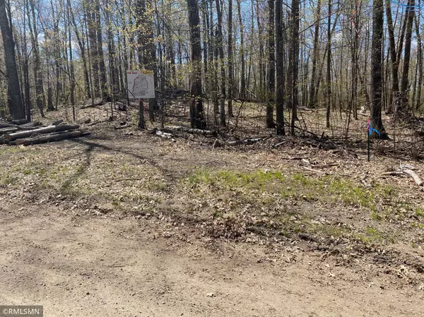 Shamrock Twp, MN 55760,TBD 217th AVE