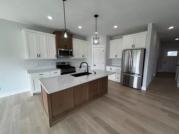 Buffalo, MN 55313,1876 Aster CT