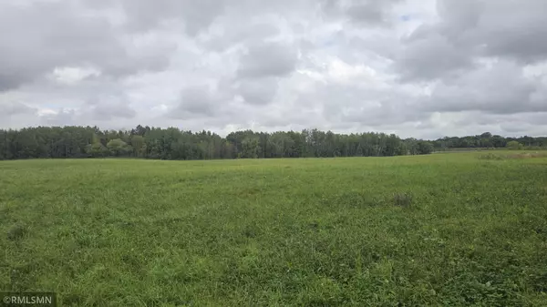 Comfort Twp, MN 55051,xx 180th AVE