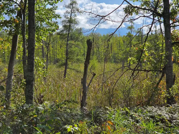 Beaver Twp, MN 55760,TBD HWY 27